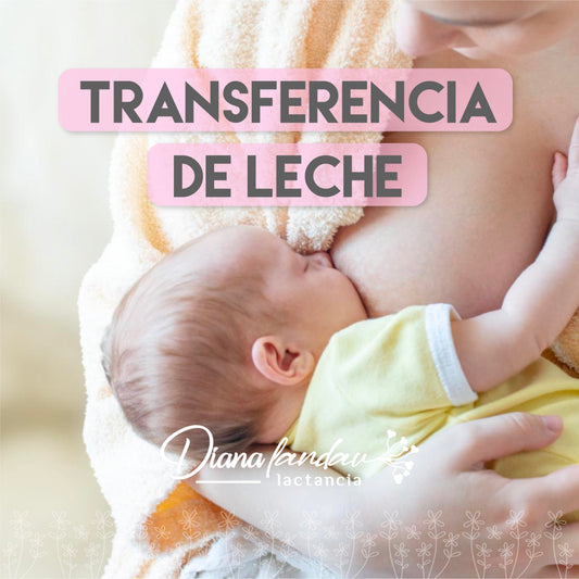 Transferencia de Leche