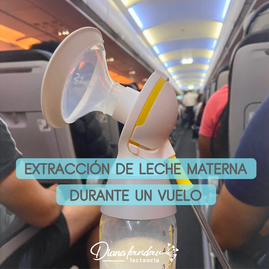 ¿Cómo Prepararse para Viajar Sin Tu Bebé?