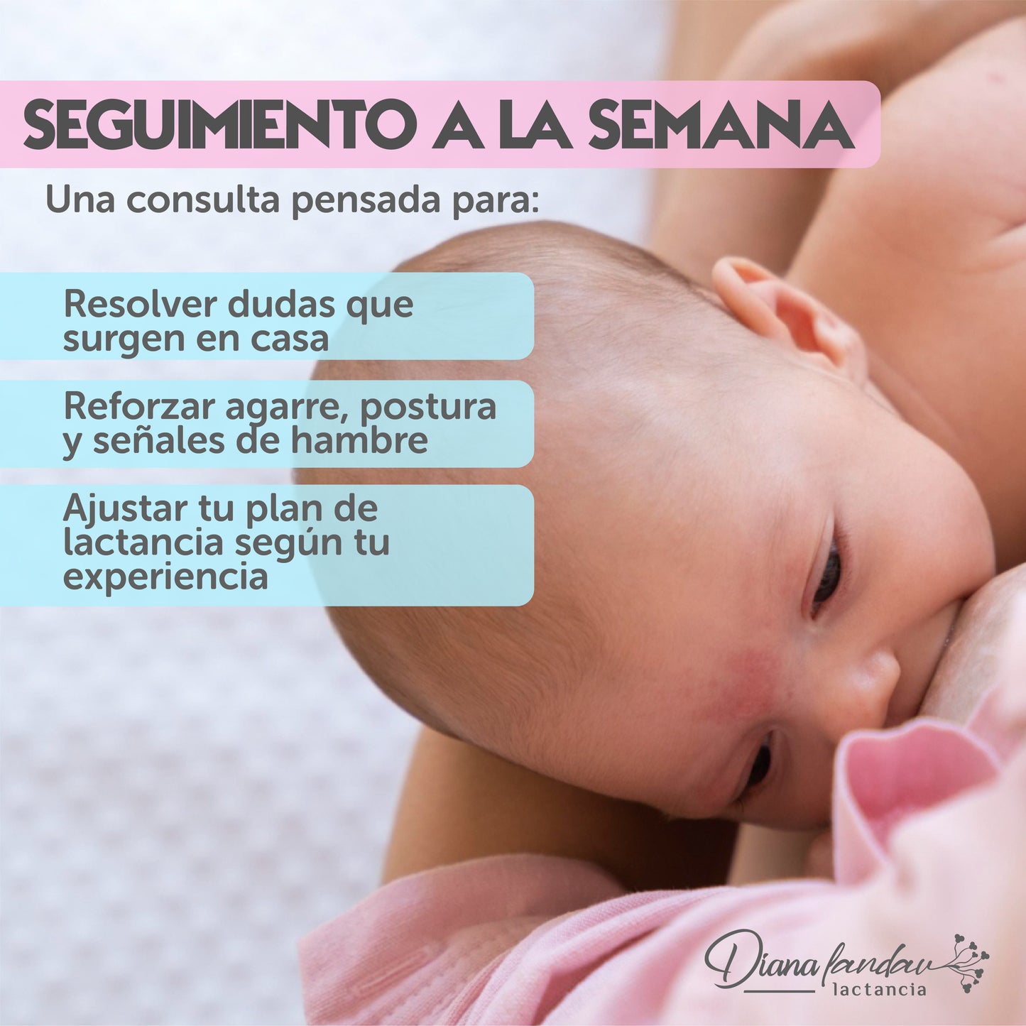 Acompañamiento completo de lactancia