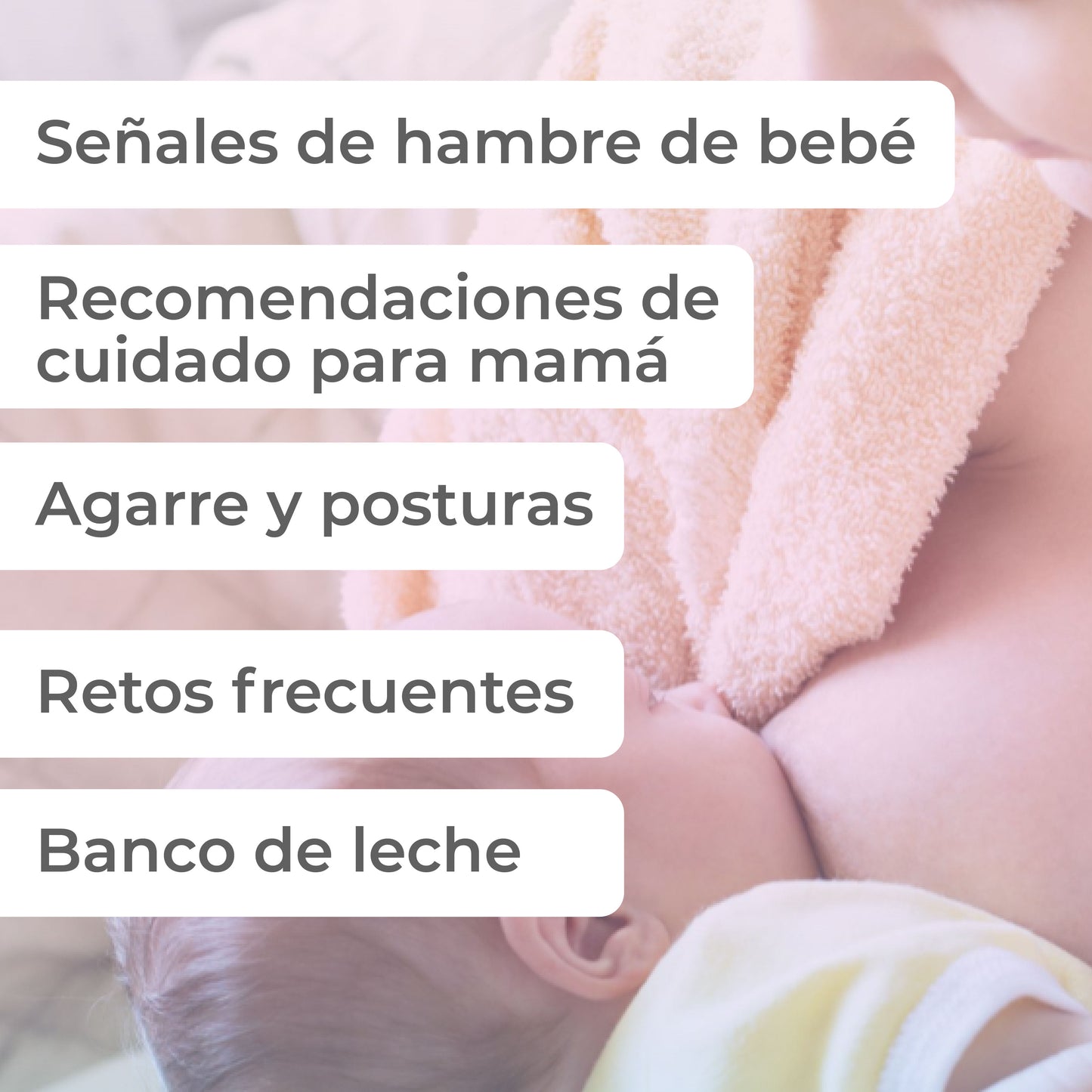 Taller de Lactancia