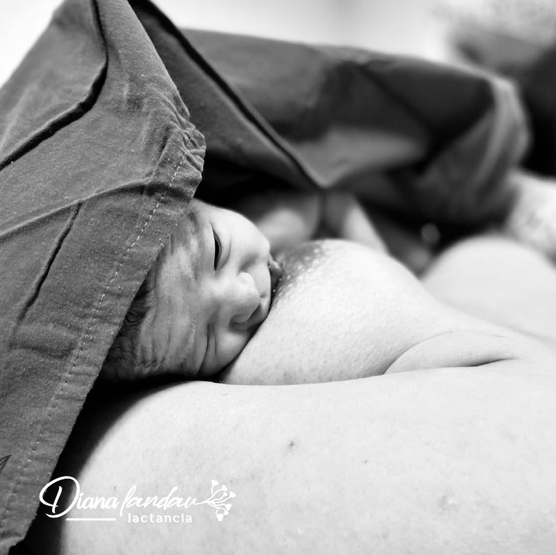 Paquete completo en línea = Taller + consulta prenatal + 2 consulta con bebé y acompañamiento