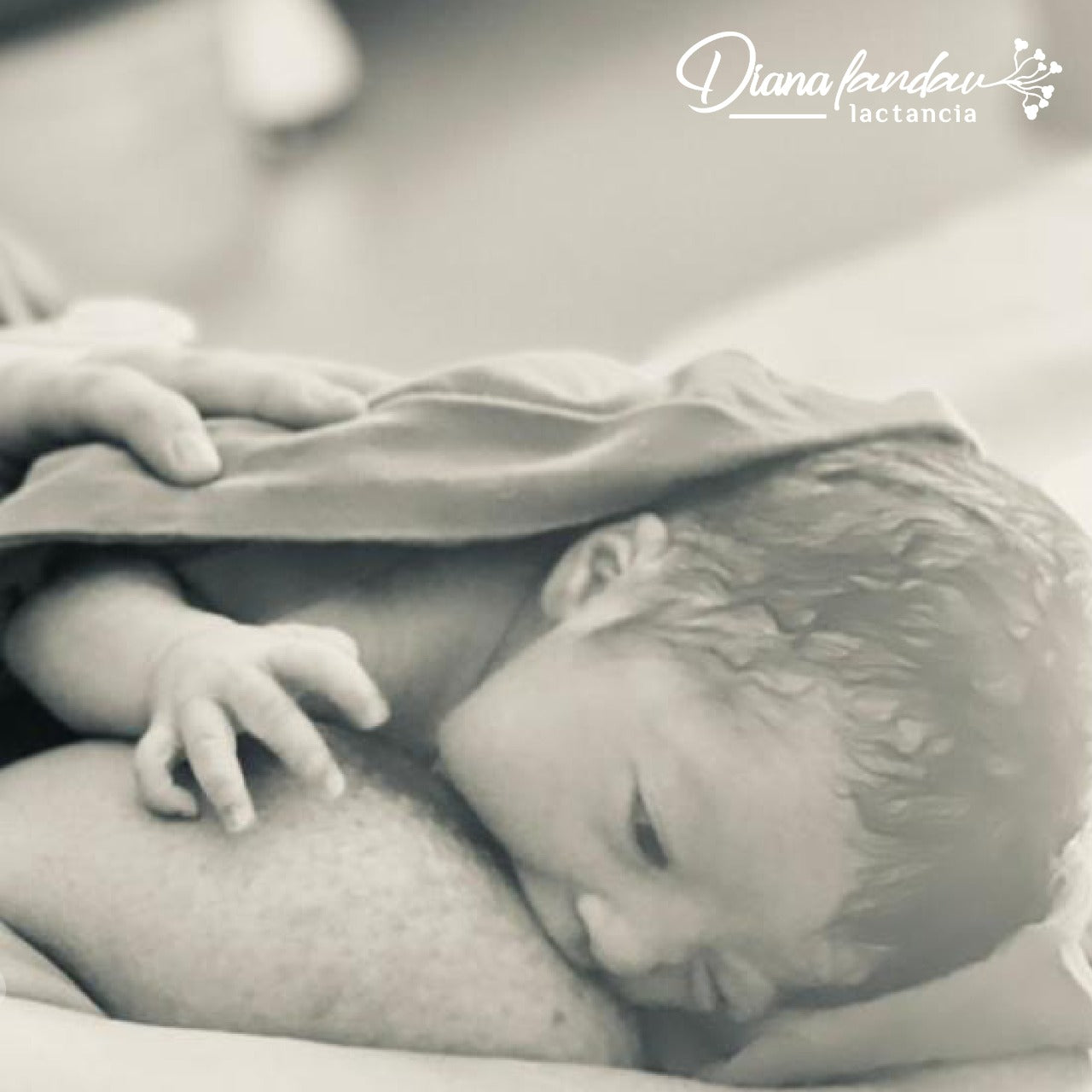 Consulta destete respetuoso = consulta del plan + 2 de seguimiento