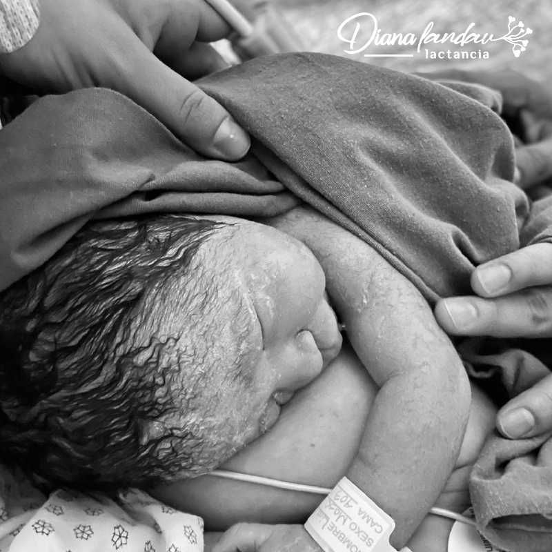 Paquete híbrido Queretaro = Consulta a domicilio o hospital + 2 de seguimiento en linea