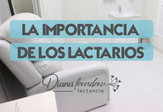 La importancia de los lactarios