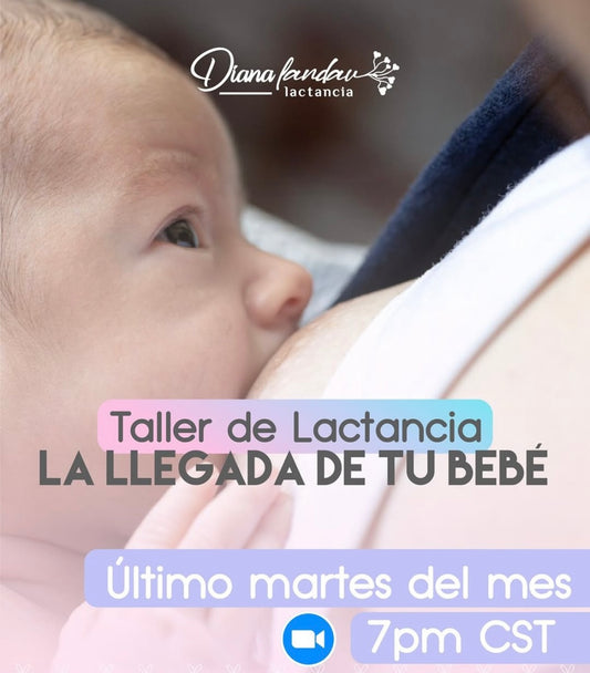 Taller de Lactancia