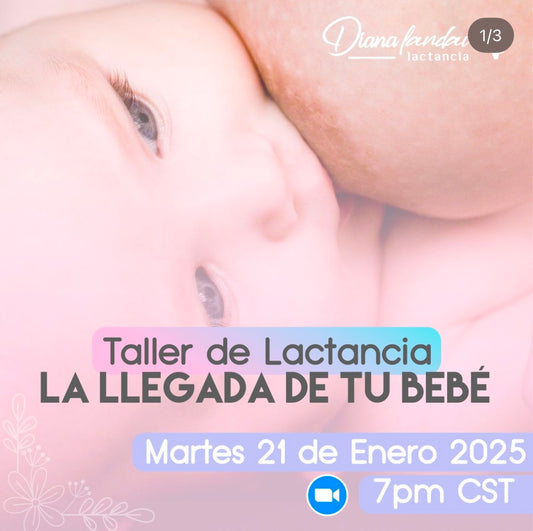 Taller de Lactancia