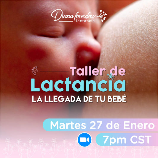 Taller de Lactancia