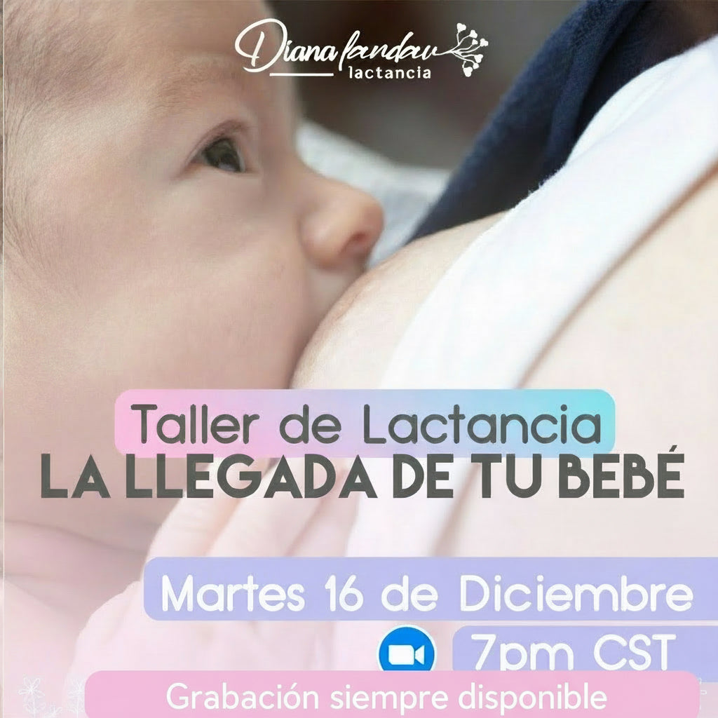 Taller de Lactancia