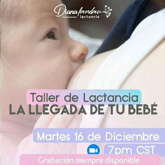Taller de Lactancia