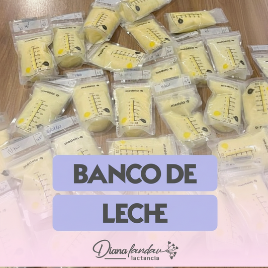 Masterclass Banco de Leche